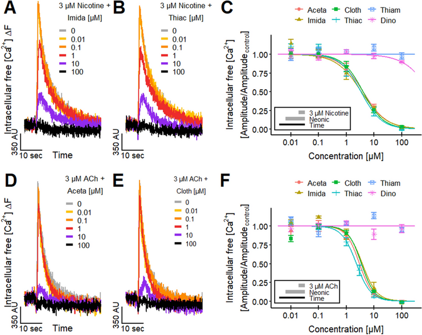 Effect of neonicotinoids on responses evoked by nicotine and ACh.