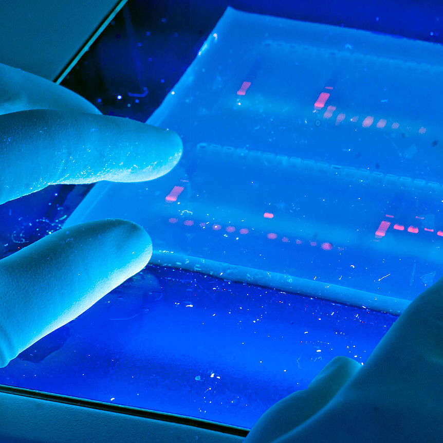 DNA Lab. (source: University of Michigan School of Natural Resources & Environment on Wikimedia Commons)