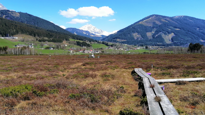 Pürgschachen Moor