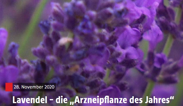 Foto © ORF "Bewusst Gesund"