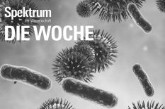 Cover of the magazin "Spektrum der Wissenschaft" in grey and white showing pictures of microbes