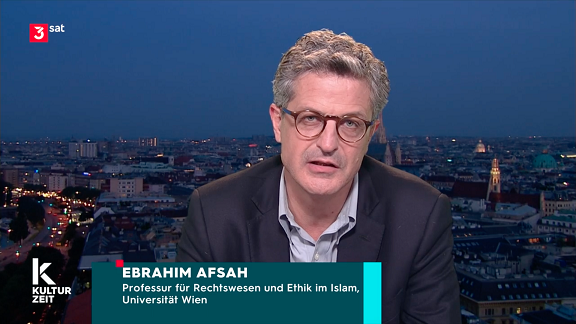 Bild: Screenshot des Beitrags mit Univ.-Prof. Ebrahim Afsah