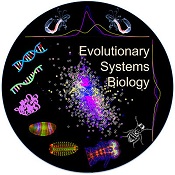 Grafik zum Thema "Evolutionary Systems in Biology".