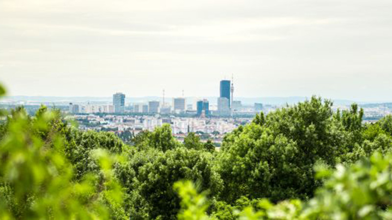 Blick auf Wien mit Bäumen im Vordergrund