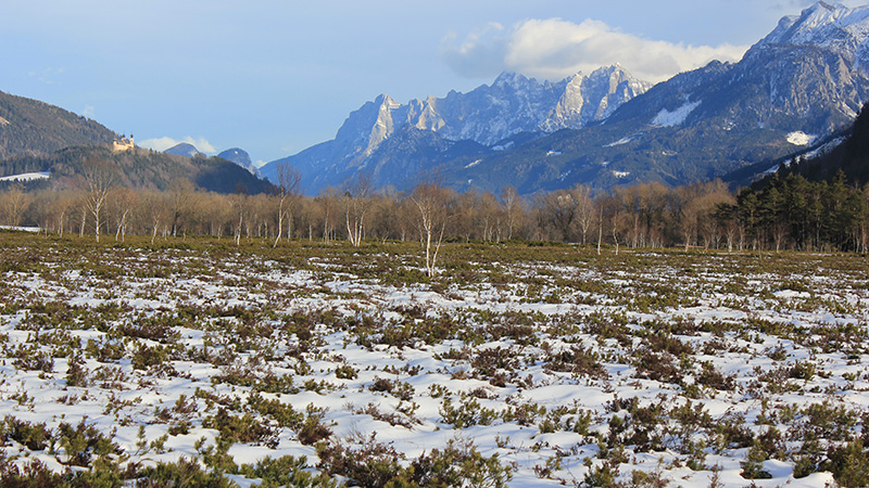 Moorlandschaft